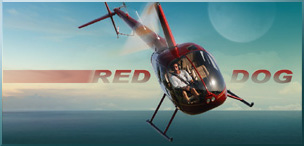 Red Dog Helicopters BioTech Consulting Orlando